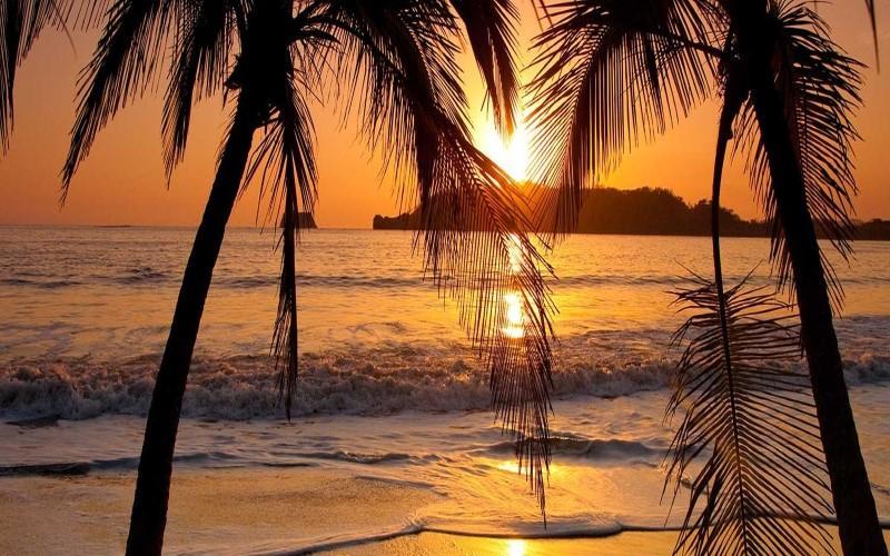 Hotel La Gaviota Tropical Playa Hermosa  Dış mekan fotoğraf